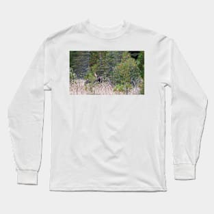 Hidden Moose, Algonquin Park, Canada Long Sleeve T-Shirt